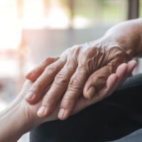 Hands_ Hands_